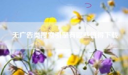 无广告类搜索引擎有哪些值得下载