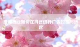 微课行业如何在抖音进行广告投放与运营