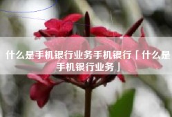 什么是手机银行业务手机银行「什么是手机银行业务」