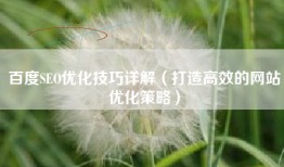 百度SEO优化技巧详解（打造高效的网站优化策略）