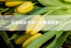 谷歌新款手机（谷歌新机型）