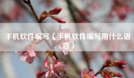 手机软件编写（手机软件编写用什么语言）