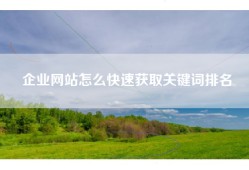 企业网站怎么快速获取关键词排名