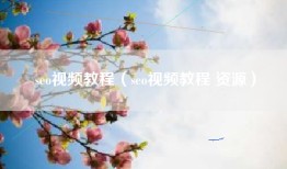 seo视频教程（seo视频教程 资源）