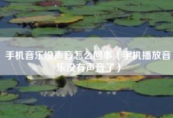 手机音乐没声音怎么回事（手机播放音乐没有声音了）