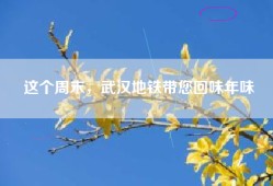 这个周末，武汉地铁带您回味年味