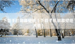 下载手机屏幕壁纸（下载手机屏幕壁纸大全）