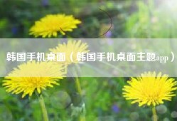 韩国手机桌面（韩国手机桌面主题app）
