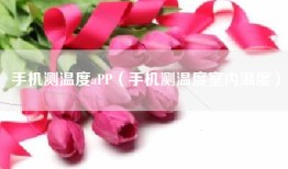 手机测温度aPP（手机测温度室内温度）
