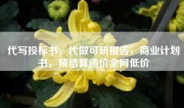 代写投标书，代做可研报告，商业计划书，预结算造价全网低价