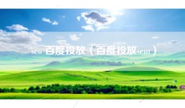 seo 百度投放（百度投放sem）