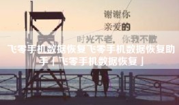 飞零手机数据恢复飞零手机数据恢复助手「飞零手机数据恢复」