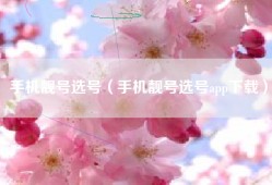 手机靓号选号（手机靓号选号app下载）