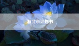 游北京计划书