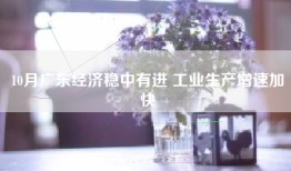 10月广东经济稳中有进 工业生产增速加快