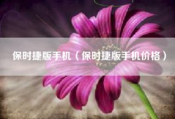 保时捷版手机（保时捷版手机价格）