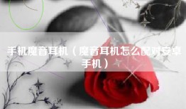 手机魔音耳机（魔音耳机怎么配对安卓手机）