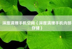 深度清理手机空间（深度清理手机内部存储）