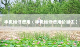 手机维修费用（手机维修费用价目表）