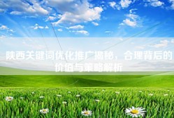 陕西关键词优化推广揭秘，合理背后的价值与策略解析