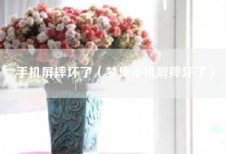手机屏摔坏了（梦见手机屏摔坏了）