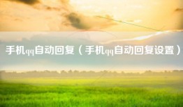 手机qq自动回复（手机qq自动回复设置）