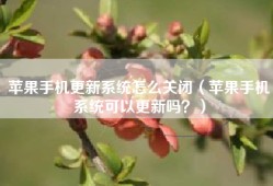 苹果手机更新系统怎么关闭（苹果手机系统可以更新吗？）