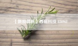 【新股简析】西磁科技 836961