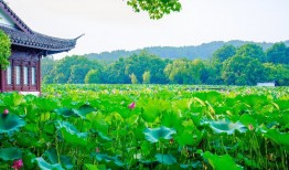 北京到青海湖+响沙湾7日游报价_去响沙湾,塔尔寺.青海旅游团