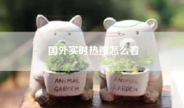 国外实时热搜怎么看