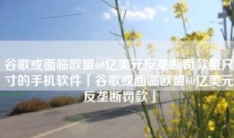谷歌或面临欧盟60亿美元反垄断罚款量尺寸的手机软件「谷歌或面临欧盟60亿美元反垄断罚款」