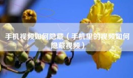 手机视频如何隐藏（手机里的视频如何隐藏视频）