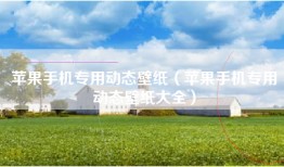 苹果手机专用动态壁纸（苹果手机专用动态壁纸大全）