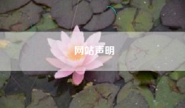网站声明
