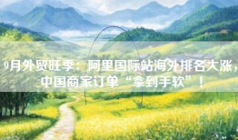 9月外贸旺季：阿里国际站海外排名大涨，中国商家订单“拿到手软”！