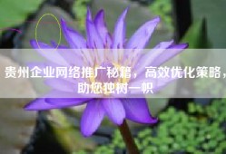 贵州企业网络推广秘籍，高效优化策略，助您独树一帜