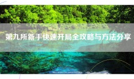 第九所新手快速开局全攻略与方法分享