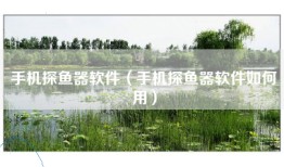 手机探鱼器软件（手机探鱼器软件如何用）