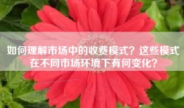 如何理解市场中的收费模式？这些模式在不同市场环境下有何变化？