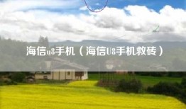 海信u8手机（海信U8手机救砖）