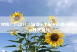 零撸广告项目：短剧+小说+游戏+商城app开发源码