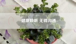健康聆听 无碍沟通