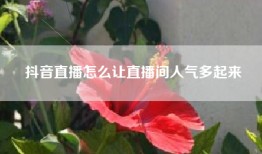 抖音直播怎么让直播间人气多起来
