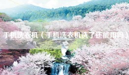 手机洗衣机（手机洗衣机洗了还能用吗）