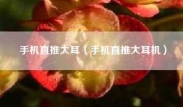 手机直推大耳（手机直推大耳机）