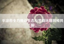平凉市全力推动生态与营商环境同频共振