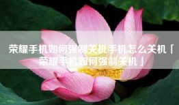 荣耀手机如何强制关机手机怎么关机「荣耀手机如何强制关机」