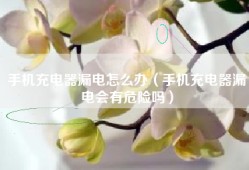 手机充电器漏电怎么办（手机充电器漏电会有危险吗）
