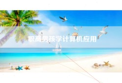 职高男孩学计算机应用