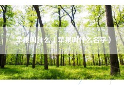 苹果叫什么（苹果叫什么名字）